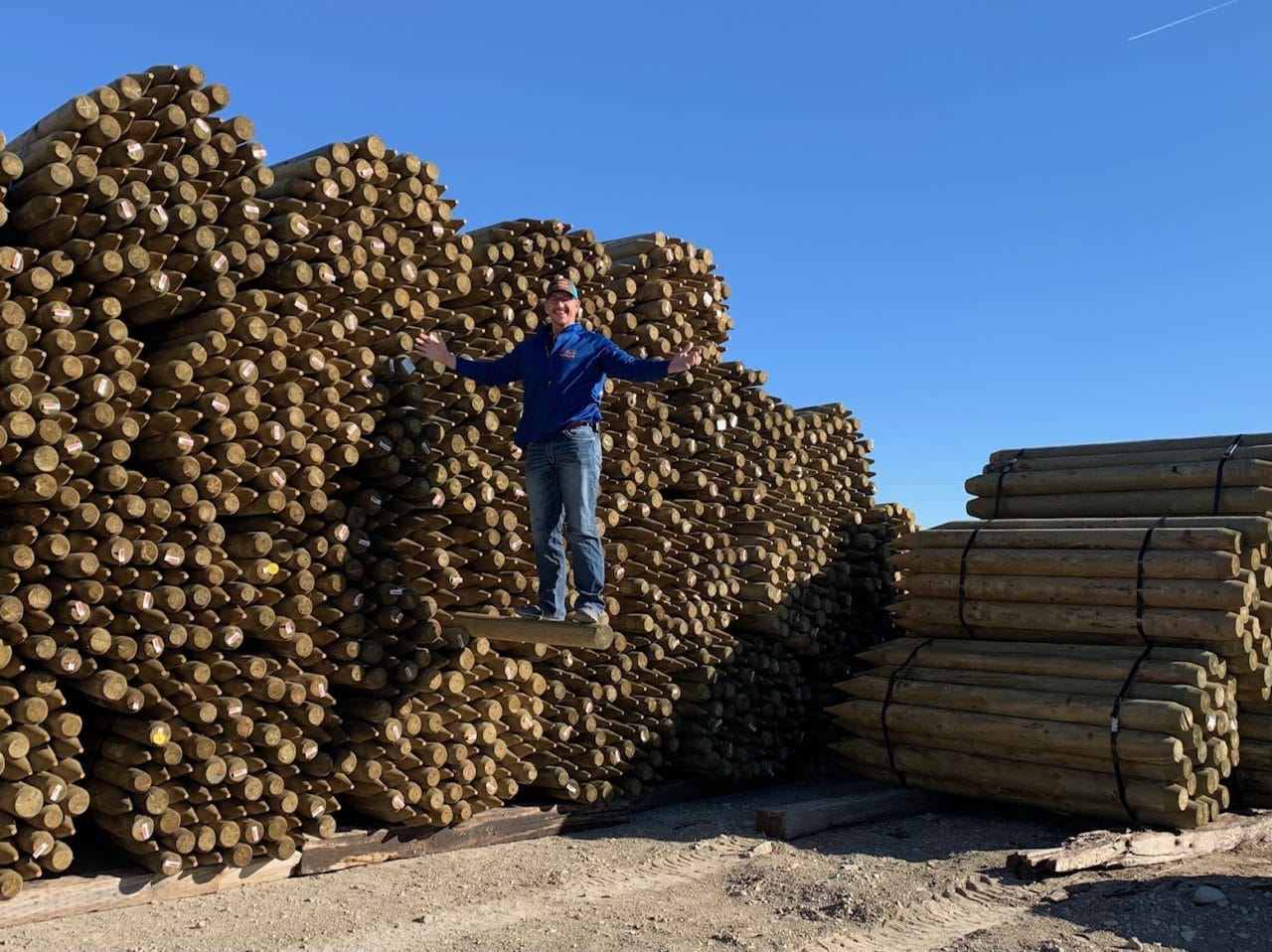 Buffalo Hardware, Buffalo SD Buffalo Hardware